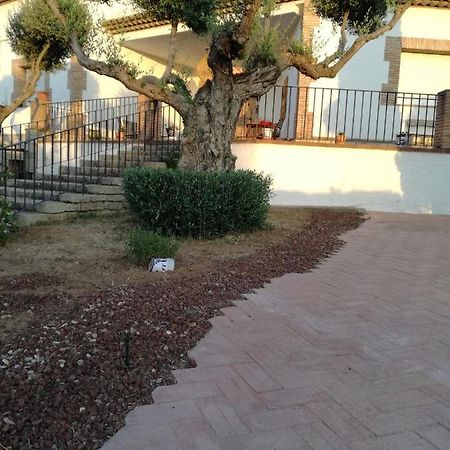 Casa Rural La Amistad Βίλα Burguillos de Toledo Εξωτερικό φωτογραφία