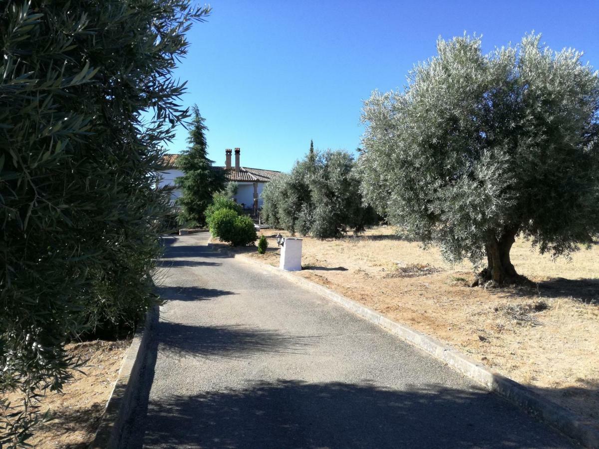 Casa Rural La Amistad Βίλα Burguillos de Toledo Εξωτερικό φωτογραφία