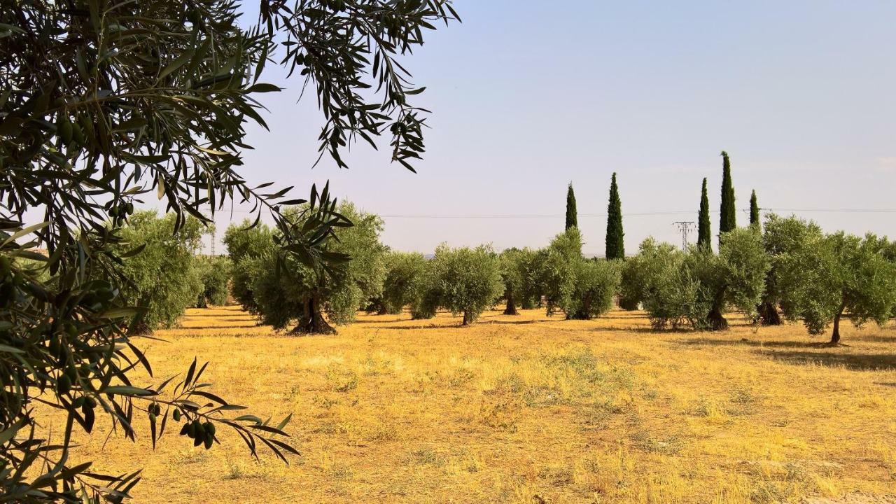 Casa Rural La Amistad Βίλα Burguillos de Toledo Εξωτερικό φωτογραφία