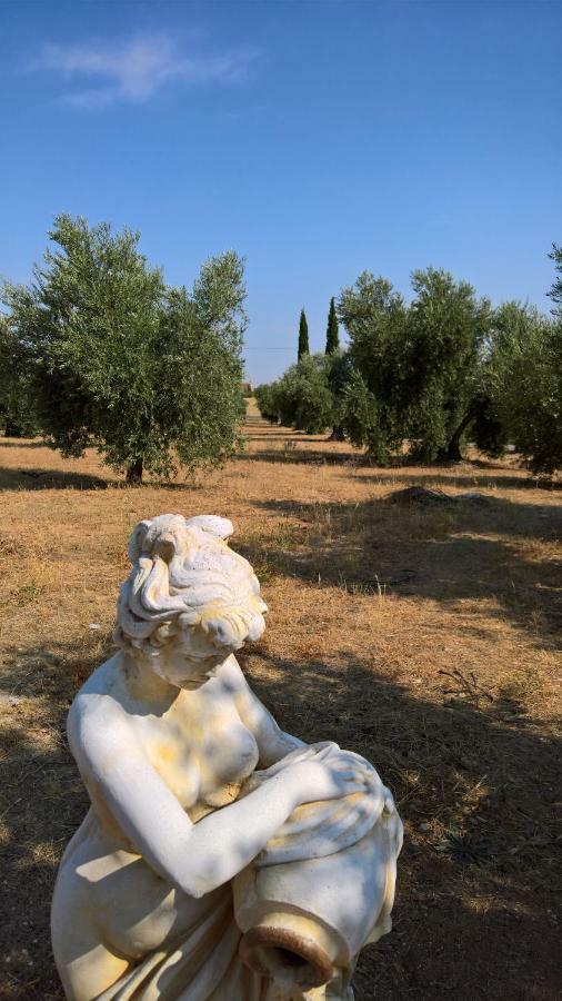 Casa Rural La Amistad Βίλα Burguillos de Toledo Εξωτερικό φωτογραφία